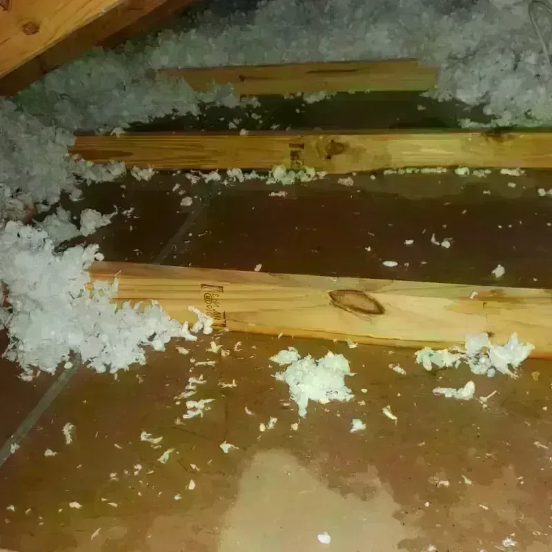 Attic Water Damage in Prescott, WI