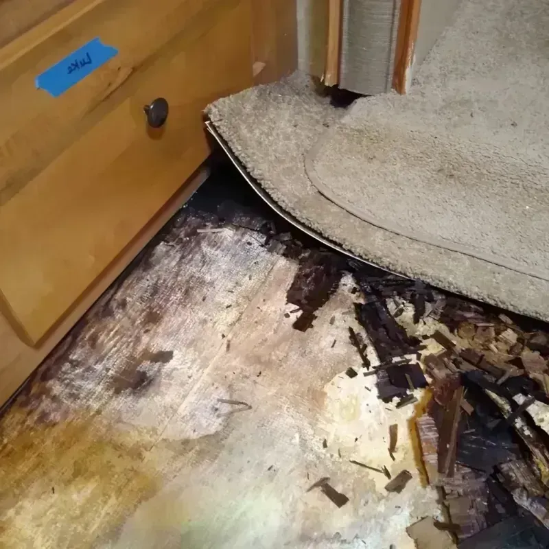 Wood Floor Water Damage in Prescott, WI